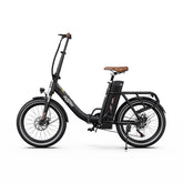ONESPORT OT16-2 Electric Bike - 250W Motor 48V17AH Battery 20 Inch Tires Folding iron Frame - Black Brown